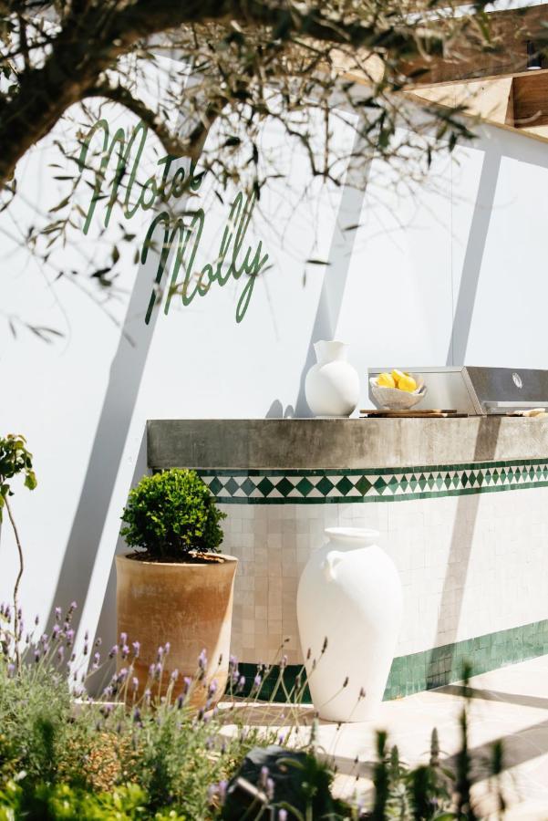 Motel Molly - Boutique Hotel Mollymook Dış mekan fotoğraf