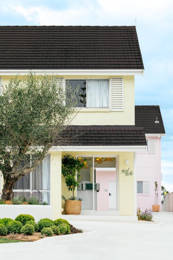 Motel Molly - Boutique Hotel Mollymook Dış mekan fotoğraf